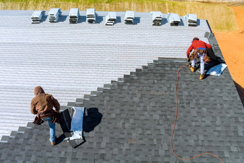 Professional Asphalt Roof Repair 6